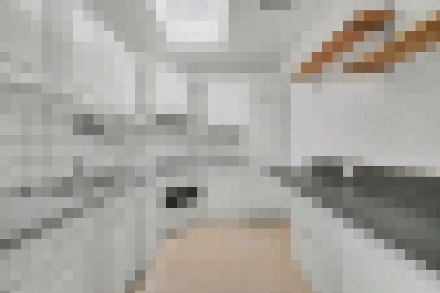 Noordelijke Achterweg 15 Wemeldinge thumbnail 13