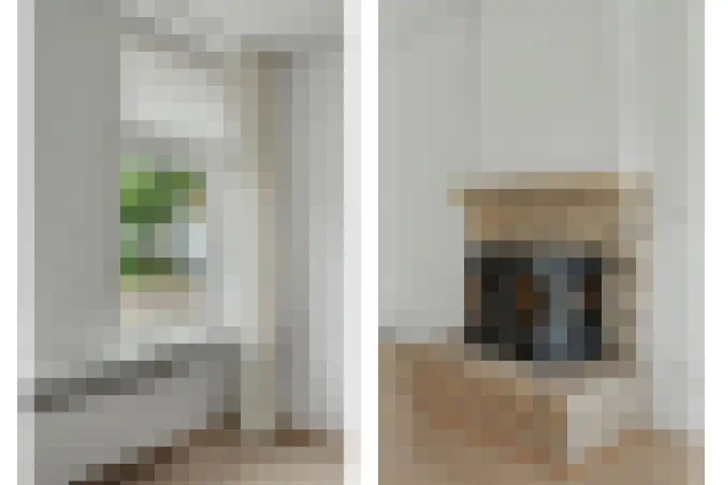 Noordelijke Achterweg 15 Wemeldinge thumbnail 15