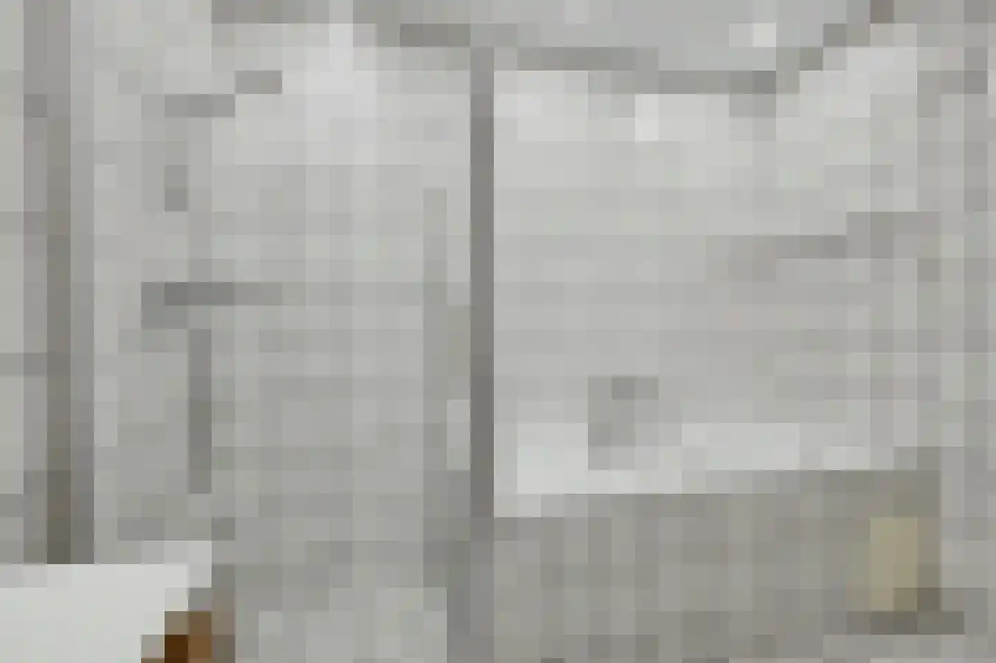 Noordelijke Achterweg 15 Wemeldinge thumbnail 23
