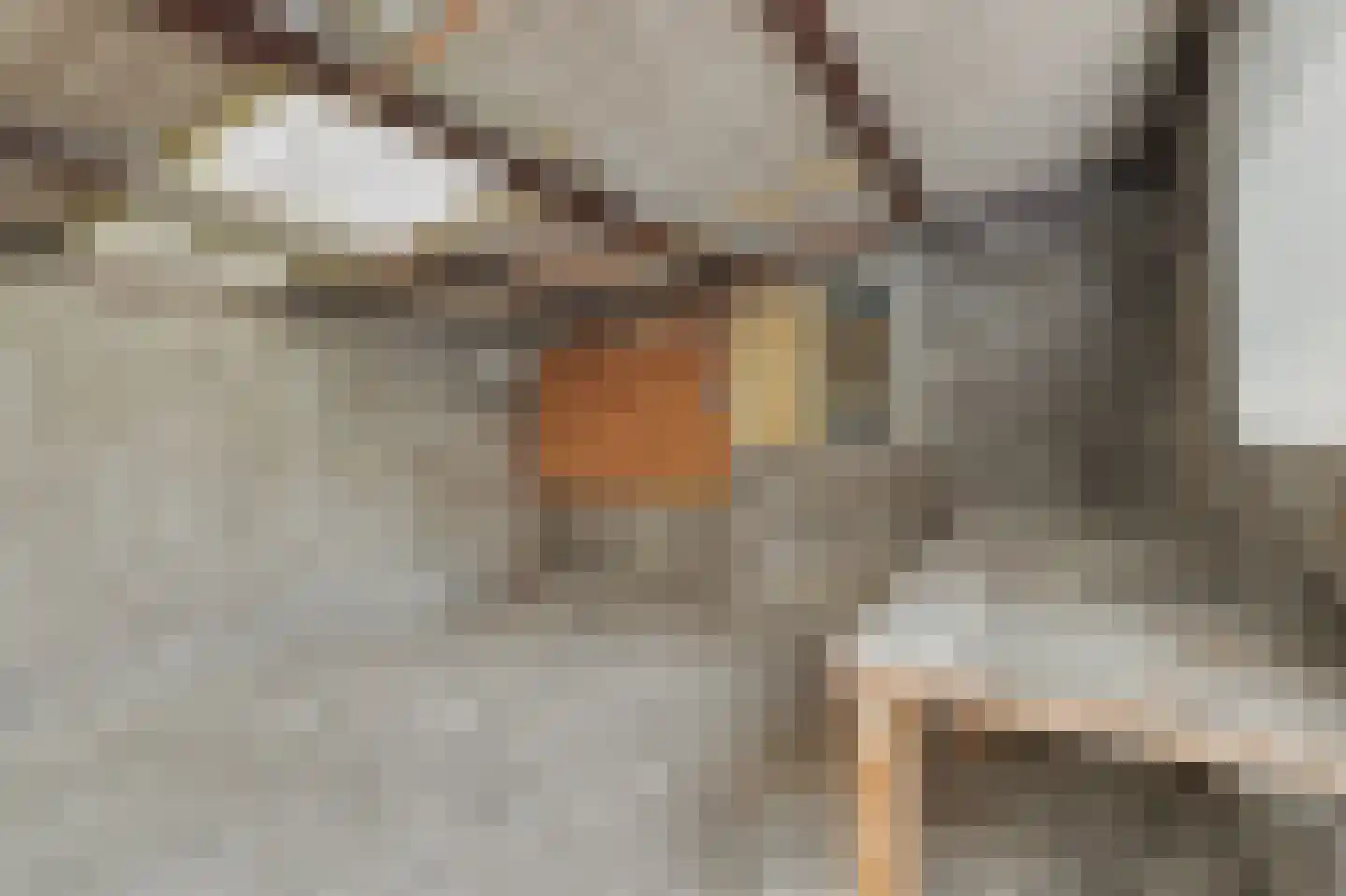 Noordelijke Achterweg 15 Wemeldinge thumbnail 26