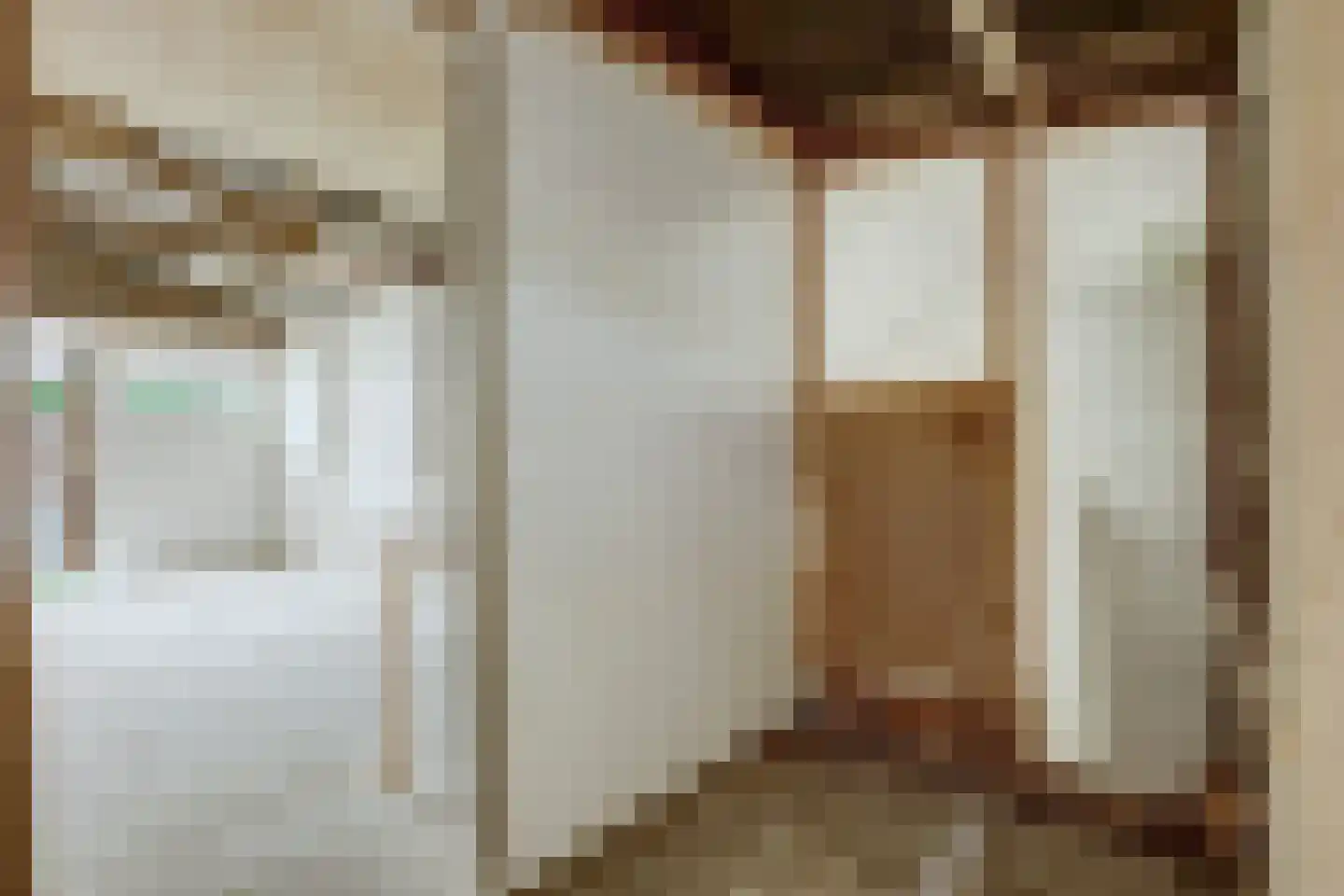 Noordelijke Achterweg 15 Wemeldinge thumbnail 28