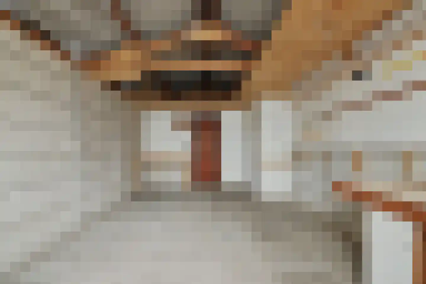 Noordelijke Achterweg 15 Wemeldinge thumbnail 29
