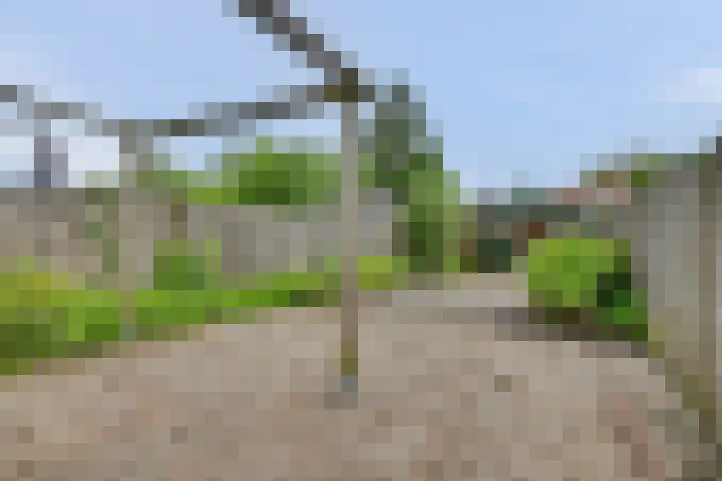 Noordelijke Achterweg 15 Wemeldinge thumbnail 30