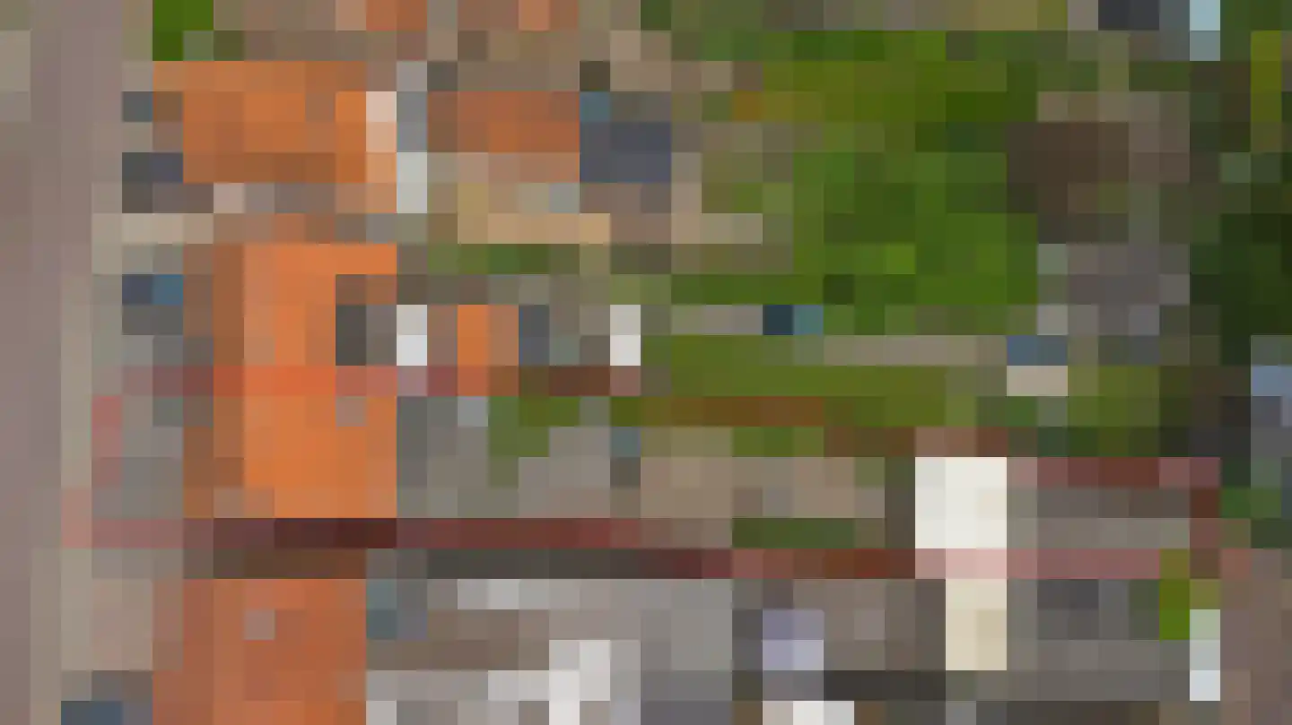 Noordelijke Achterweg 15 Wemeldinge thumbnail 34