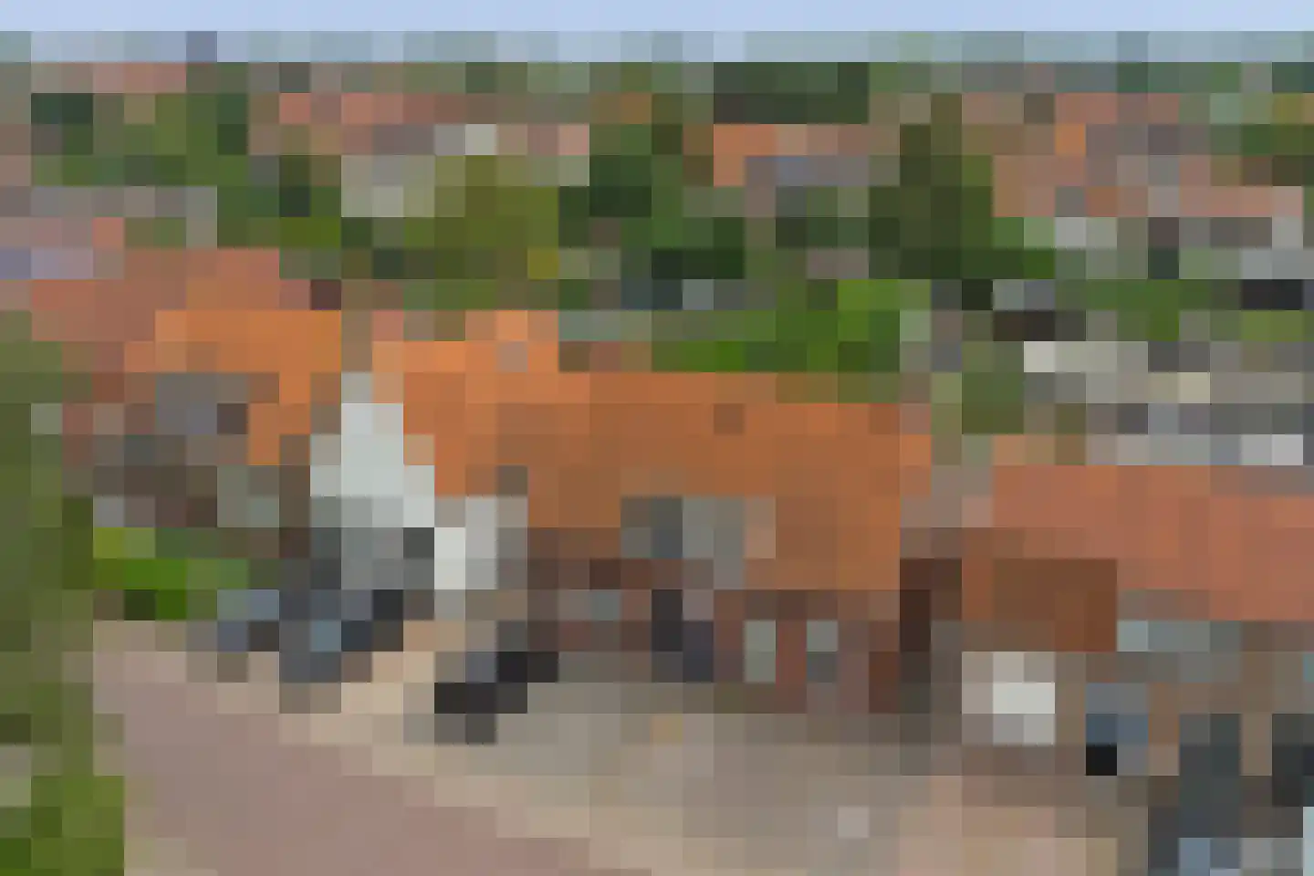 Noordelijke Achterweg 15 Wemeldinge thumbnail 35