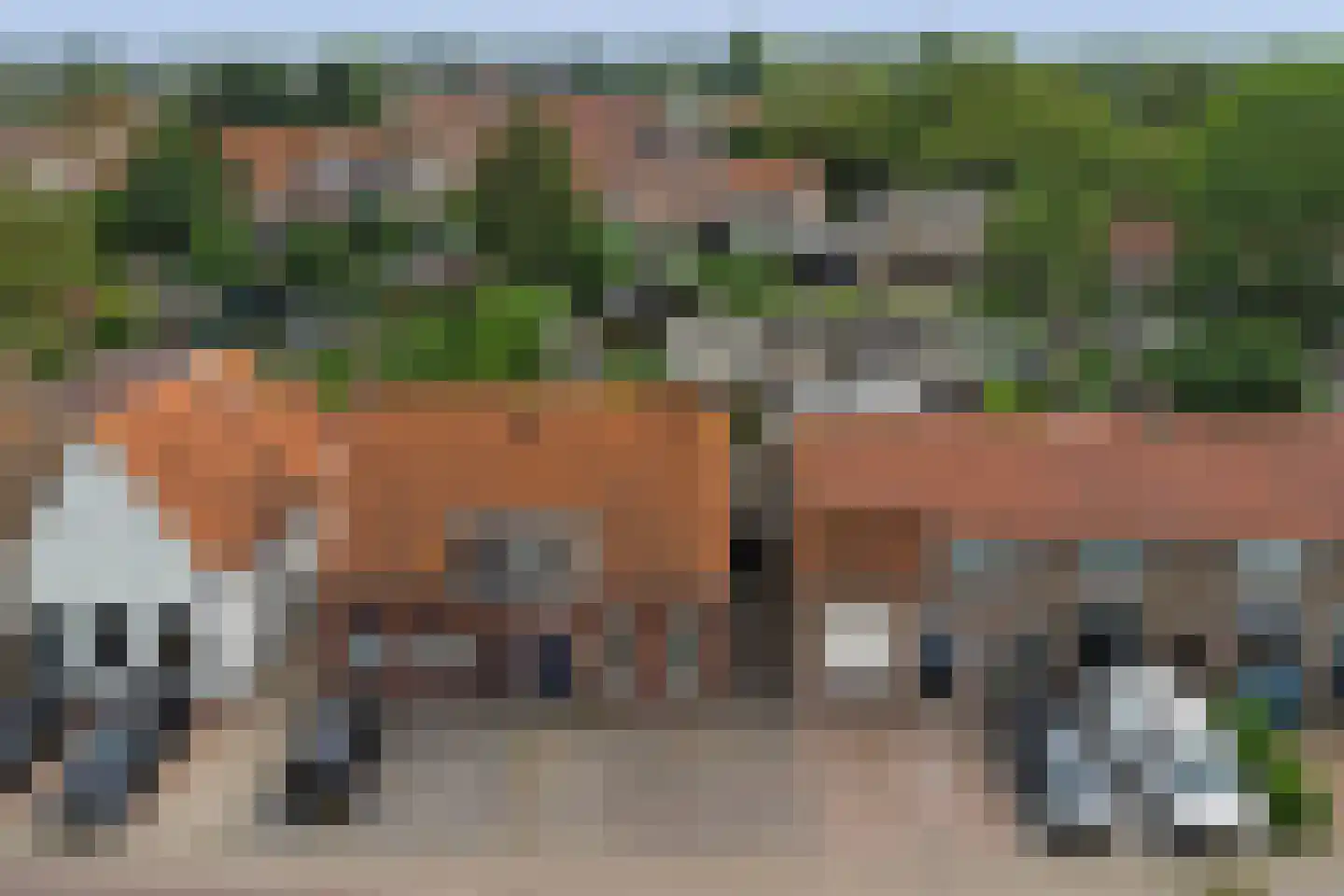 Noordelijke Achterweg 15 Wemeldinge thumbnail 36