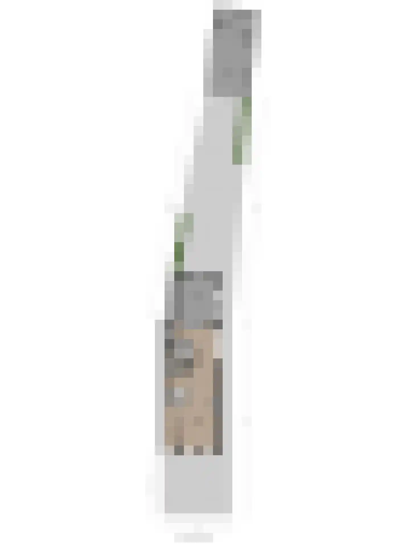 Noordelijke Achterweg 15 Wemeldinge thumbnail 46