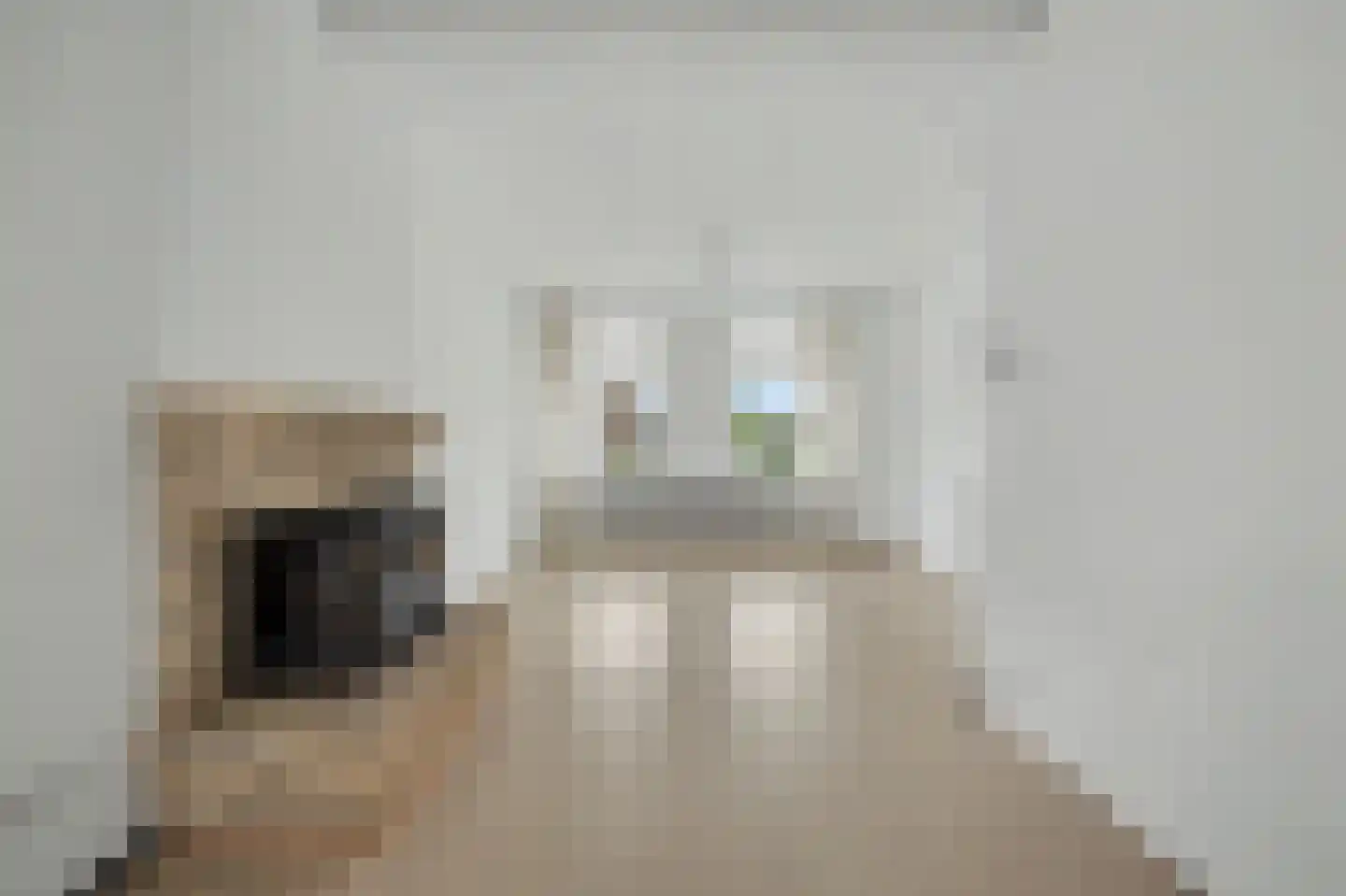 Noordelijke Achterweg 15 Wemeldinge thumbnail 7