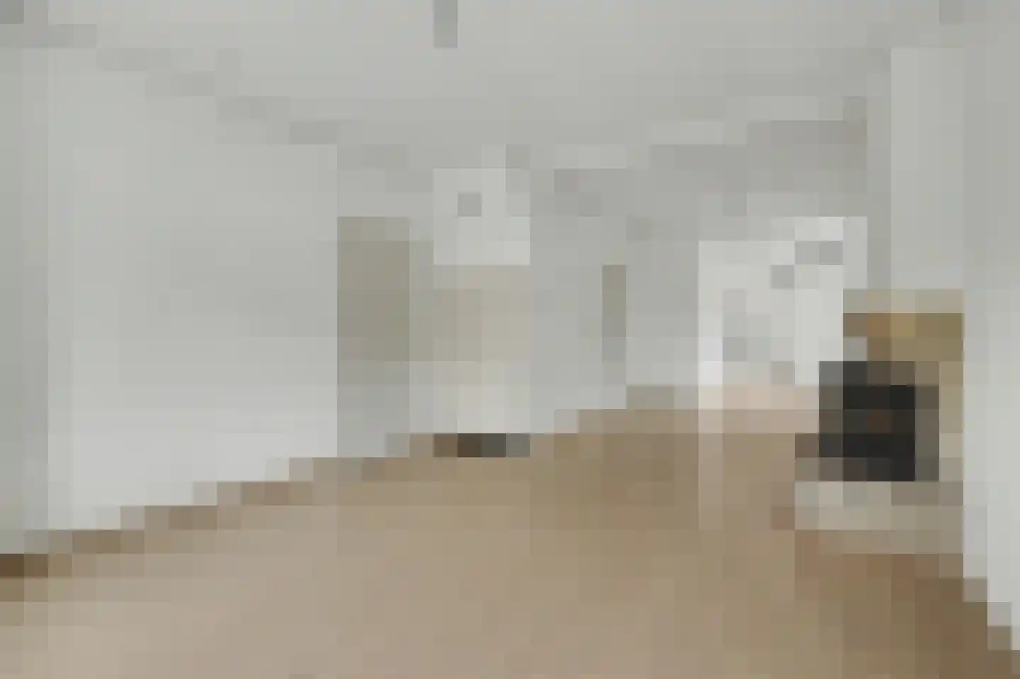 Noordelijke Achterweg 15 Wemeldinge thumbnail 8