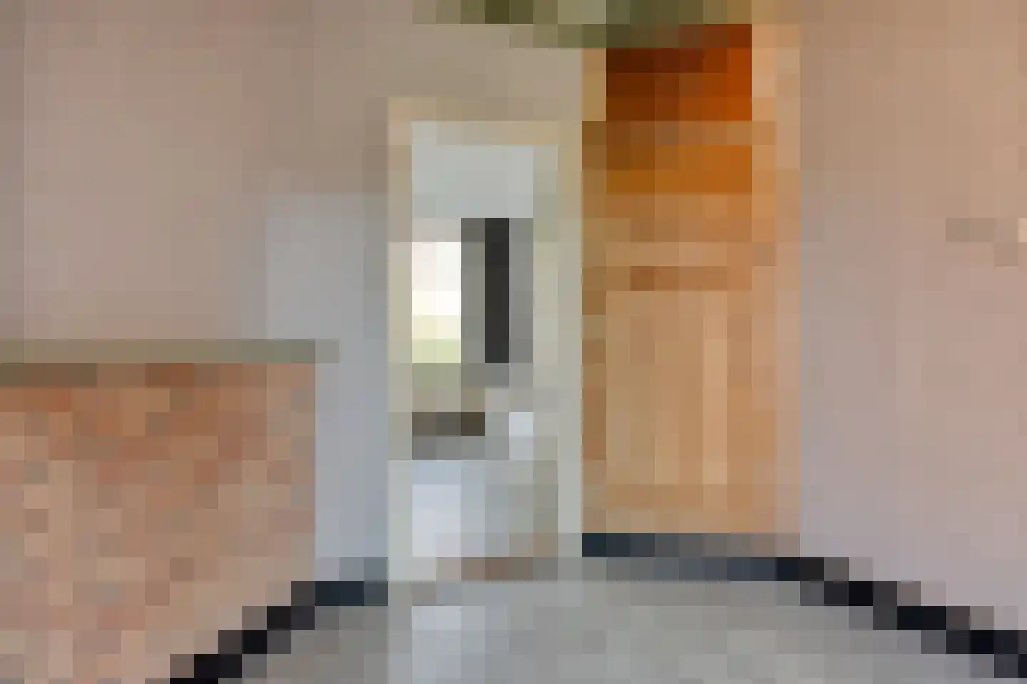 Noordelijke Achterweg 21 Wemeldinge thumbnail 12