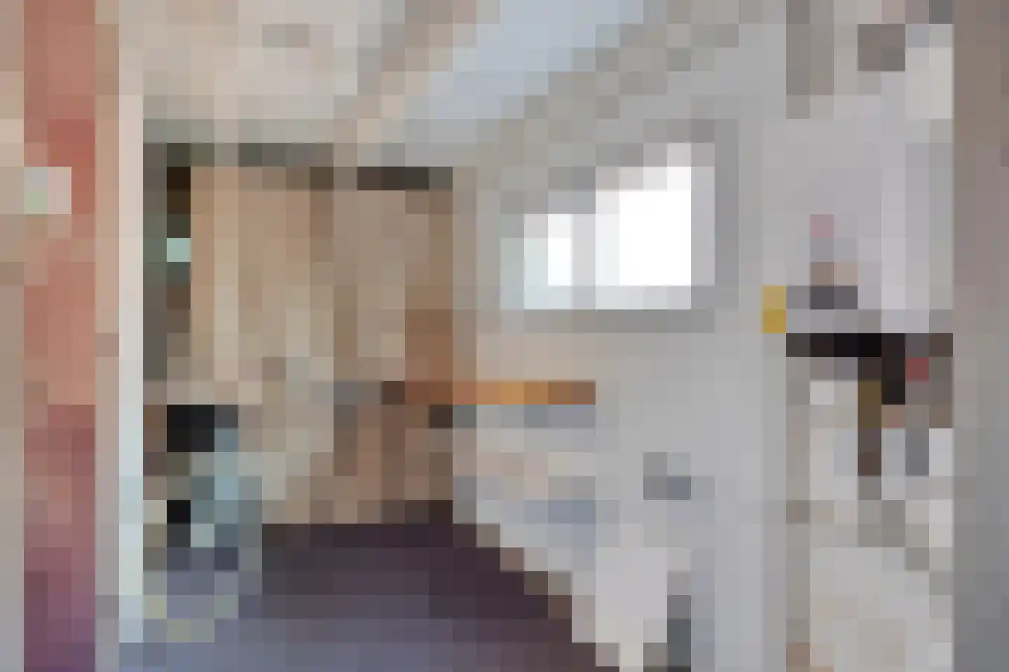 Noordelijke Achterweg 21 Wemeldinge thumbnail 16