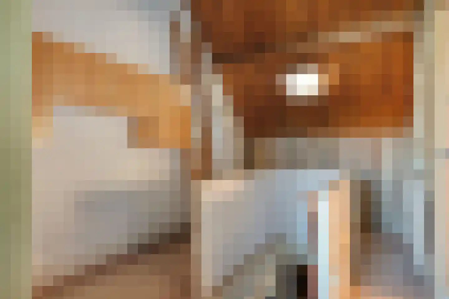 Noordelijke Achterweg 21 Wemeldinge thumbnail 19