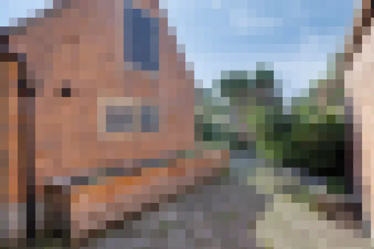 Noordelijke Achterweg 21 Wemeldinge thumbnail 26