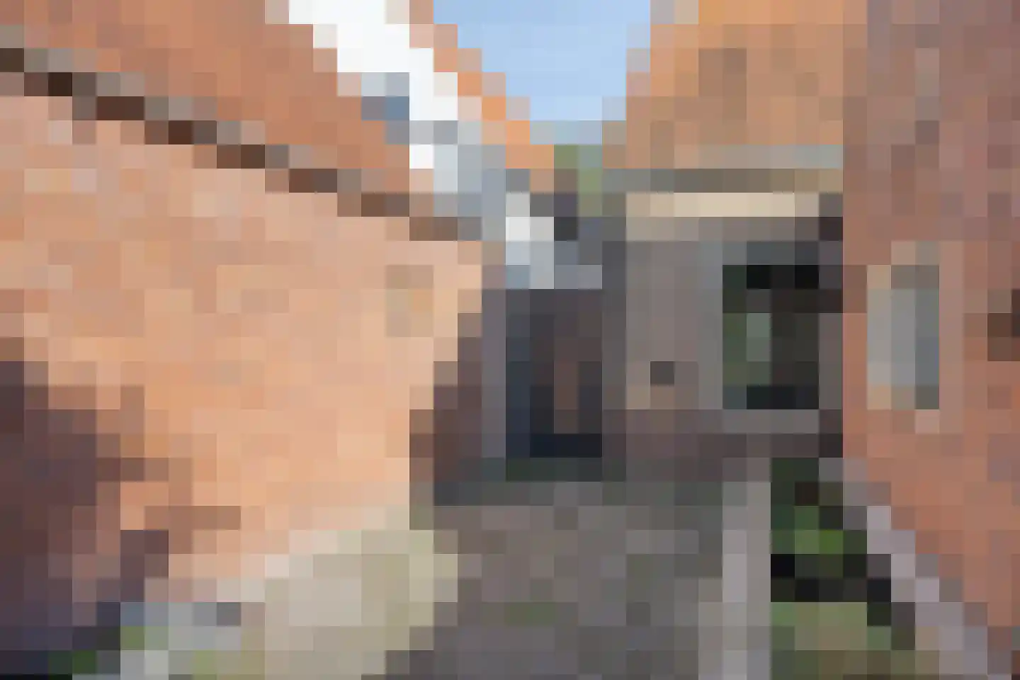 Noordelijke Achterweg 21 Wemeldinge thumbnail 27