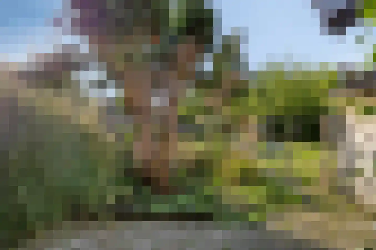 Noordelijke Achterweg 21 Wemeldinge thumbnail 28