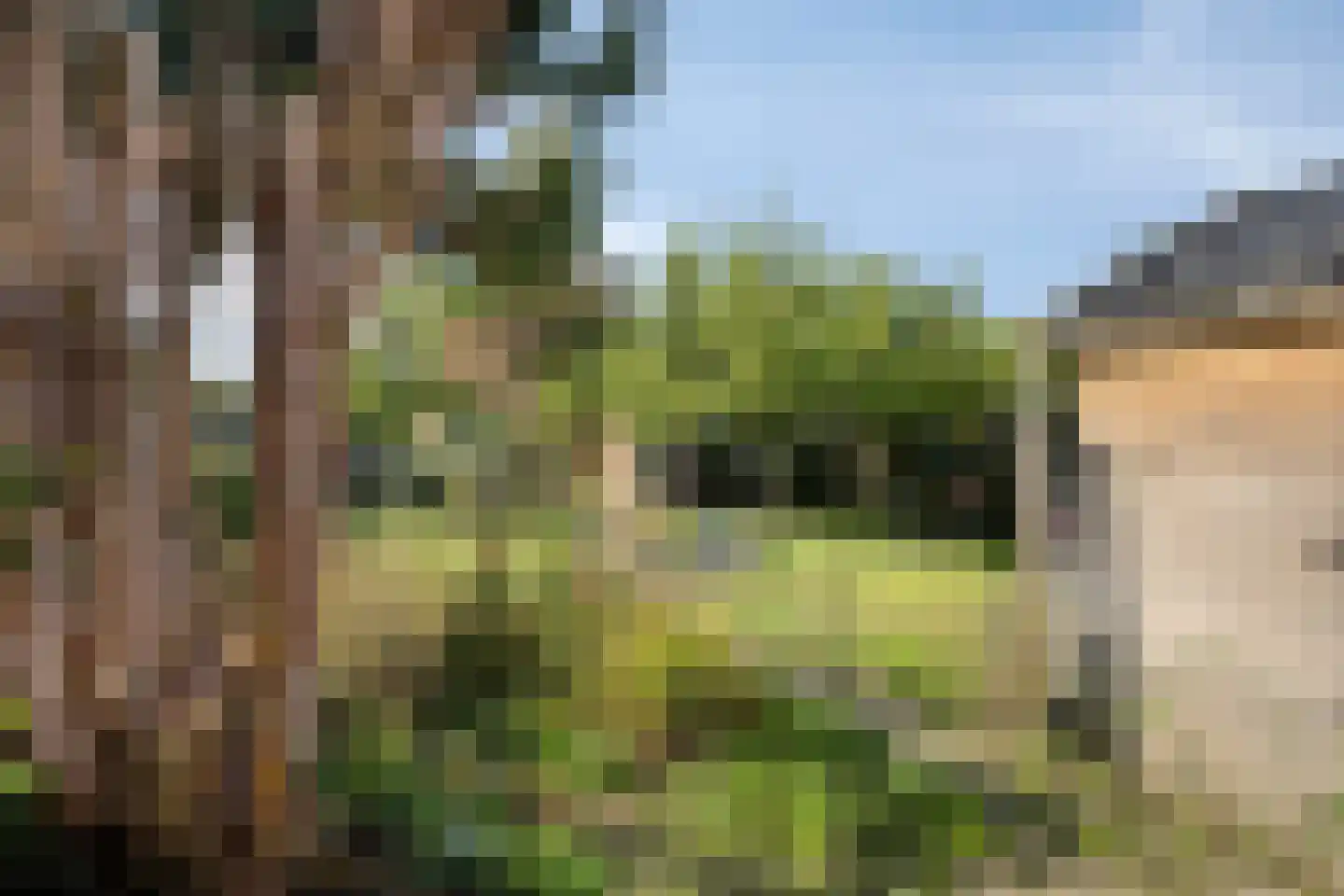 Noordelijke Achterweg 21 Wemeldinge thumbnail 30
