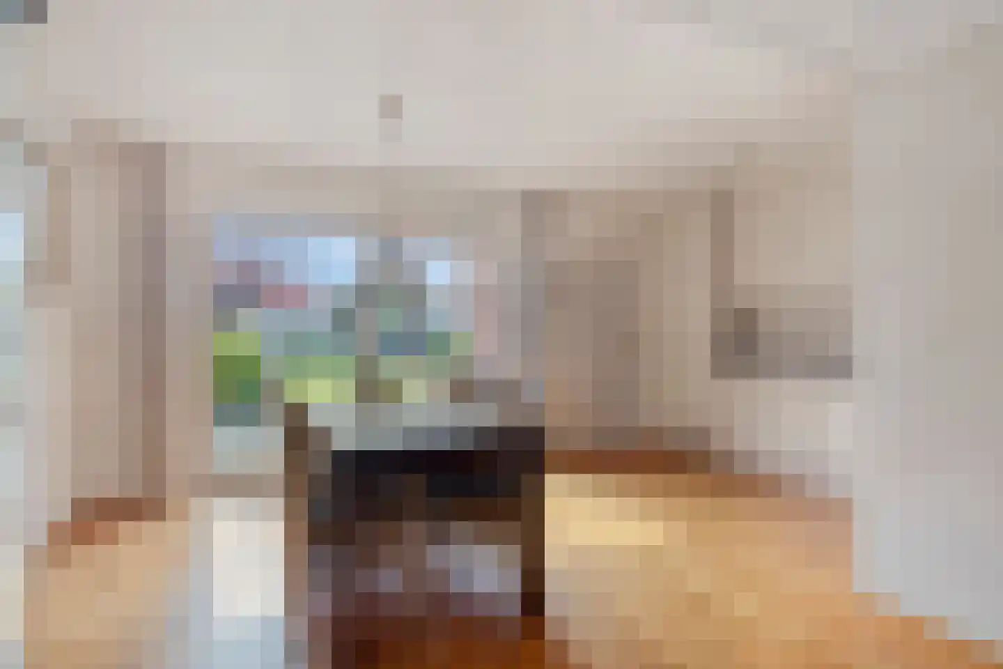 Noordelijke Achterweg 23 A Wemeldinge thumbnail 12
