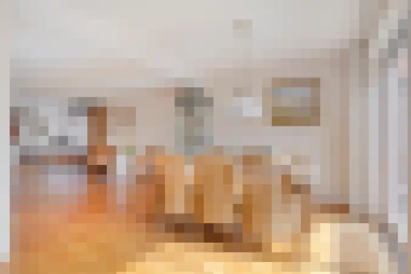 Noordelijke Achterweg 23 A Wemeldinge thumbnail 13