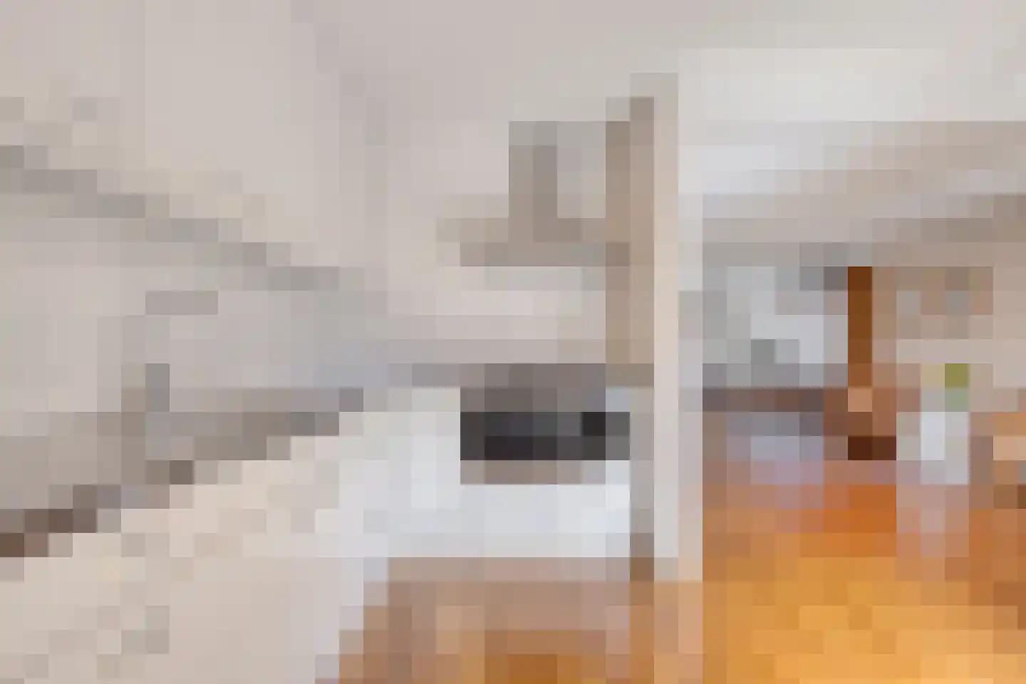 Noordelijke Achterweg 23 A Wemeldinge thumbnail 14
