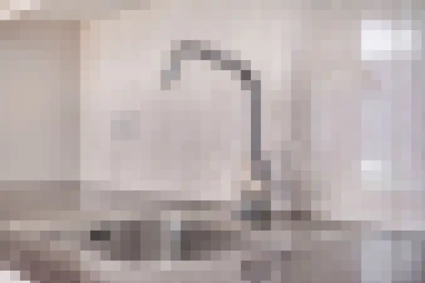 Noordelijke Achterweg 23 A Wemeldinge thumbnail 17