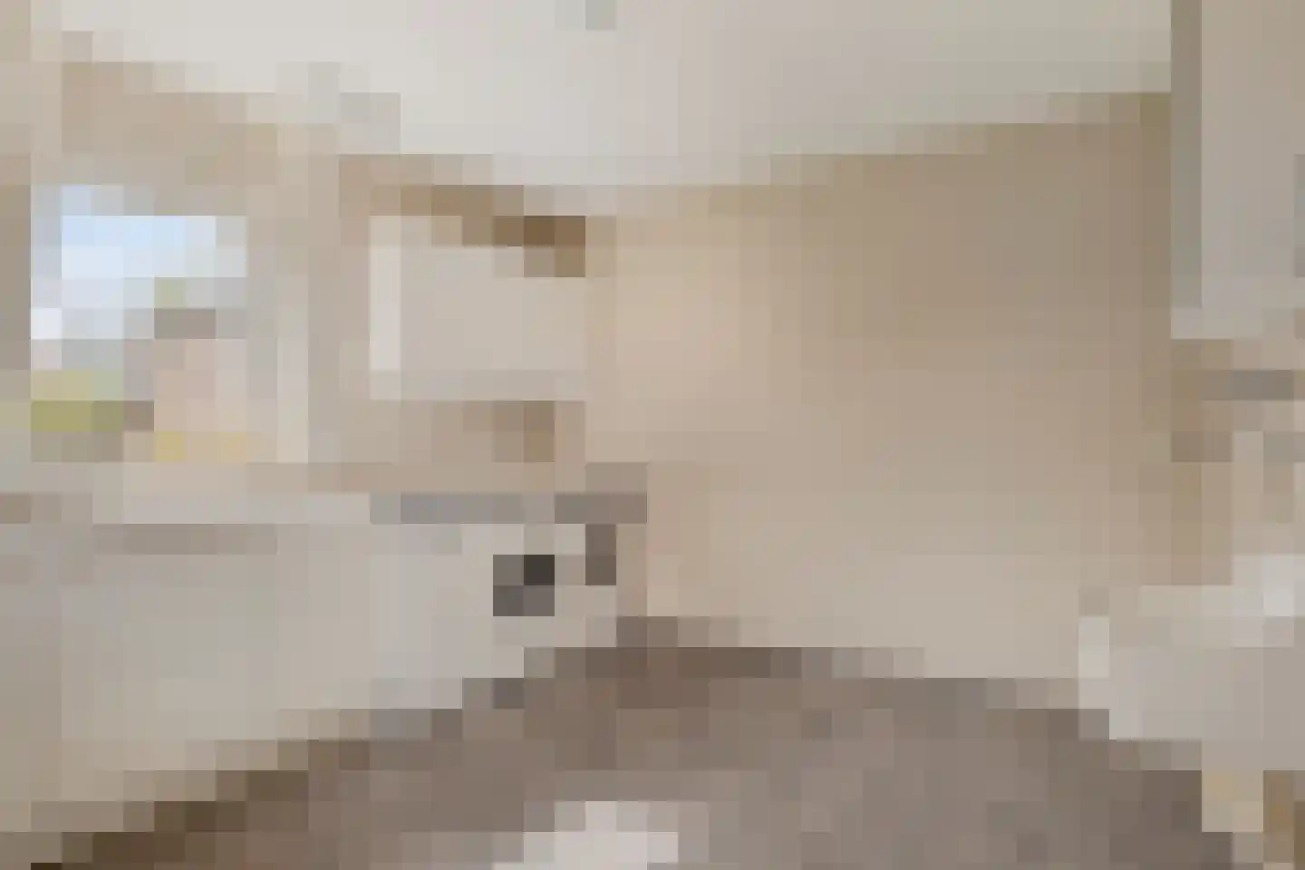 Noordelijke Achterweg 23 A Wemeldinge thumbnail 18