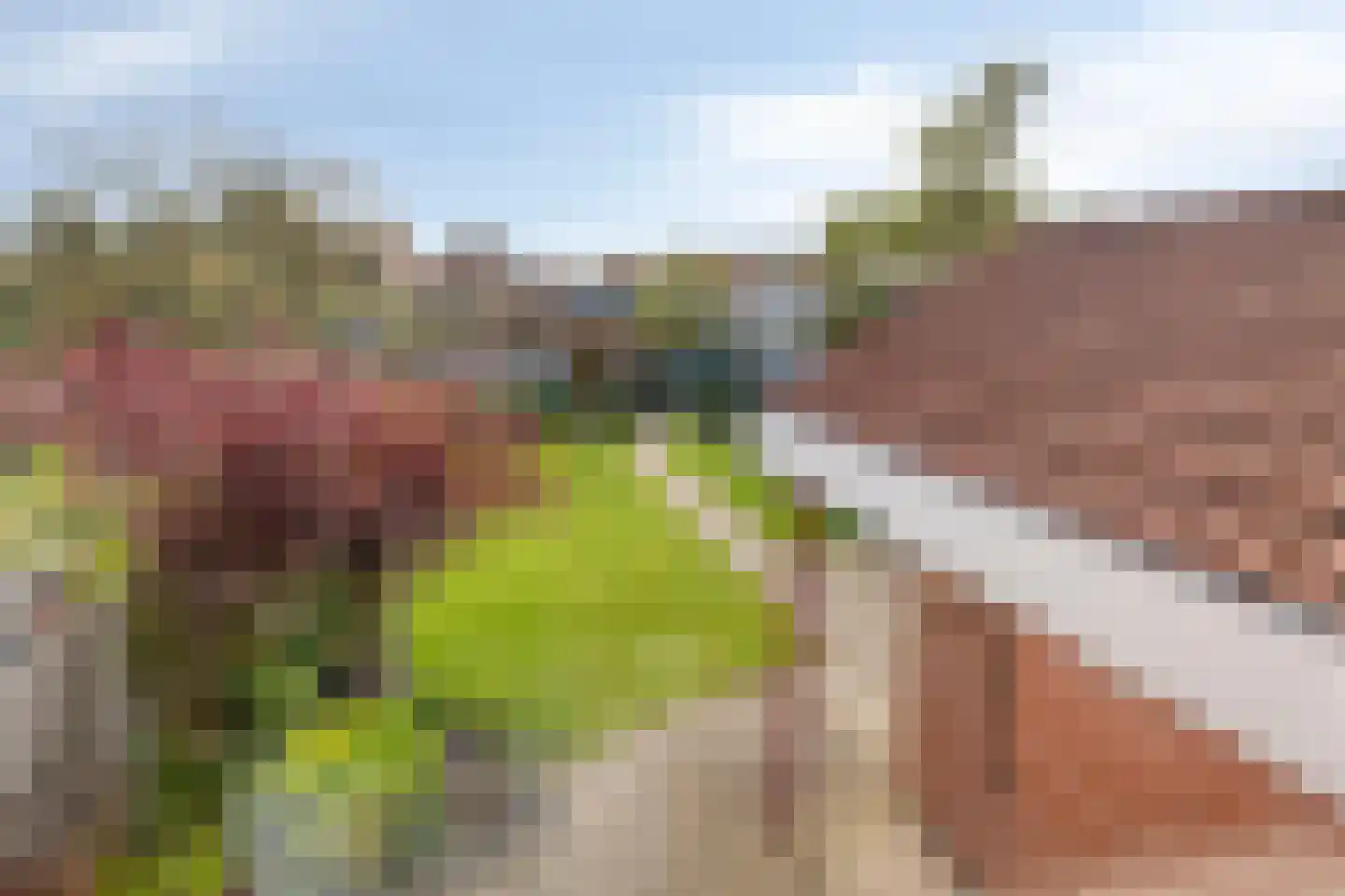 Noordelijke Achterweg 23 A Wemeldinge thumbnail 36
