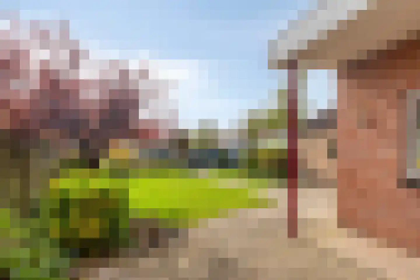 Noordelijke Achterweg 23 A Wemeldinge thumbnail 37