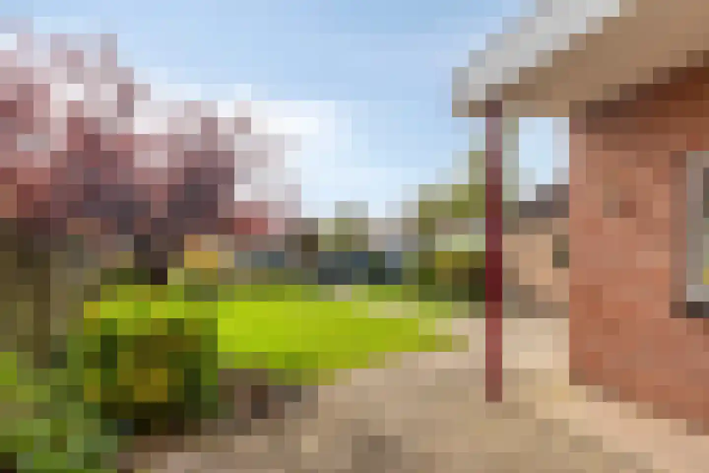 Noordelijke Achterweg 23 A Wemeldinge thumbnail 37