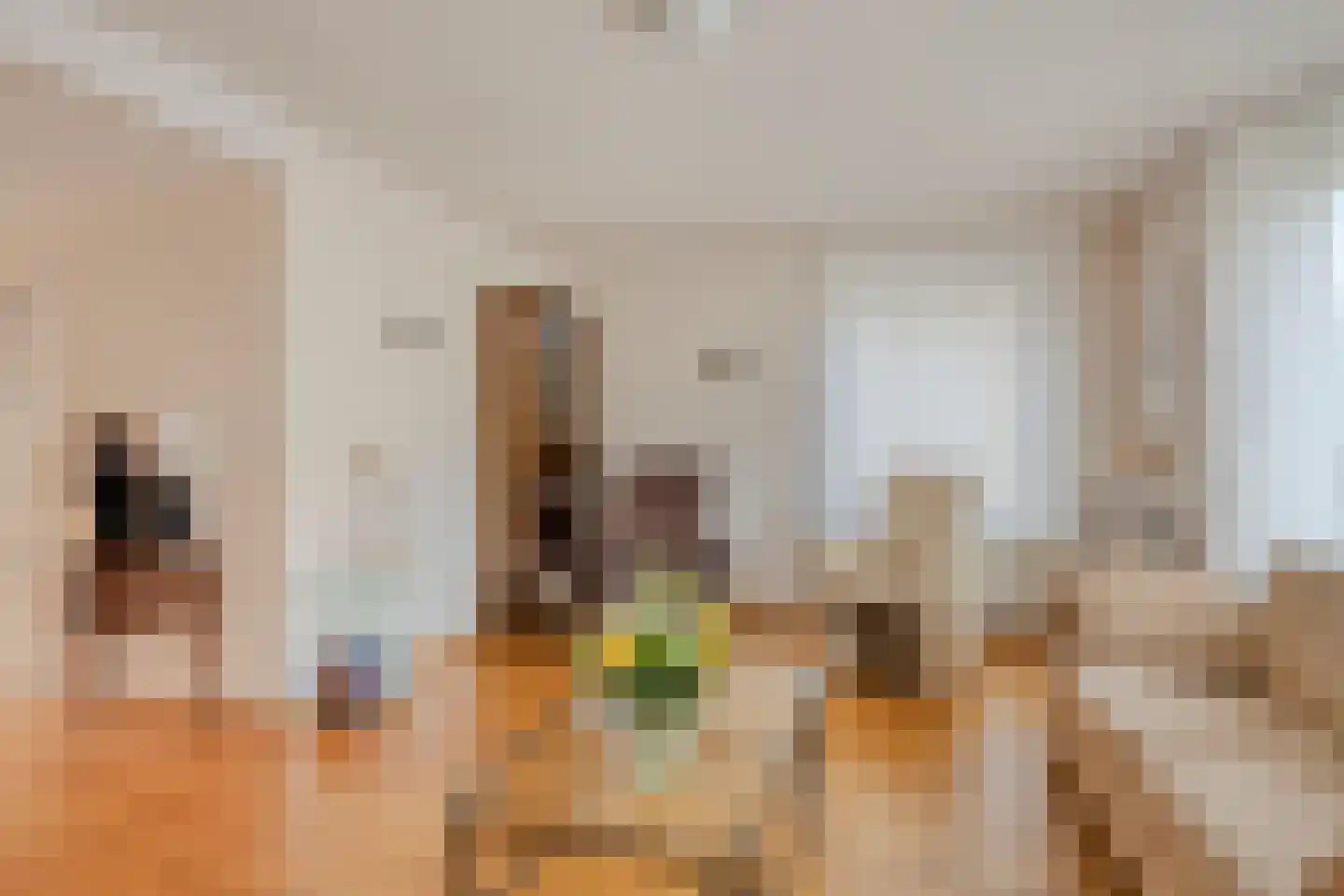 Noordelijke Achterweg 23 A Wemeldinge thumbnail 7