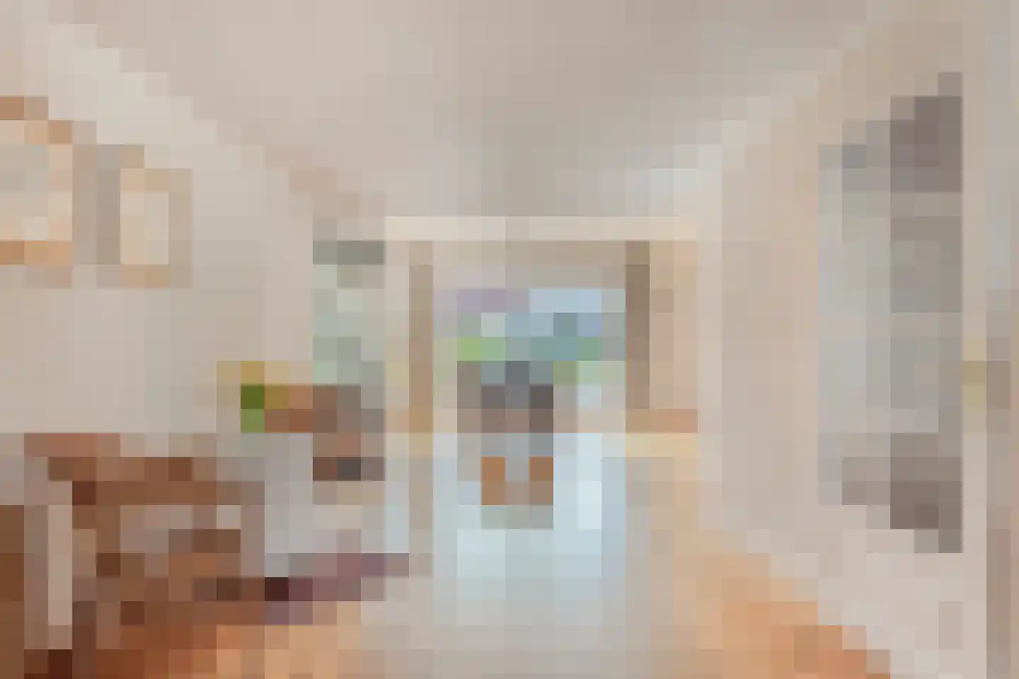 Noordelijke Achterweg 23 A Wemeldinge thumbnail 9