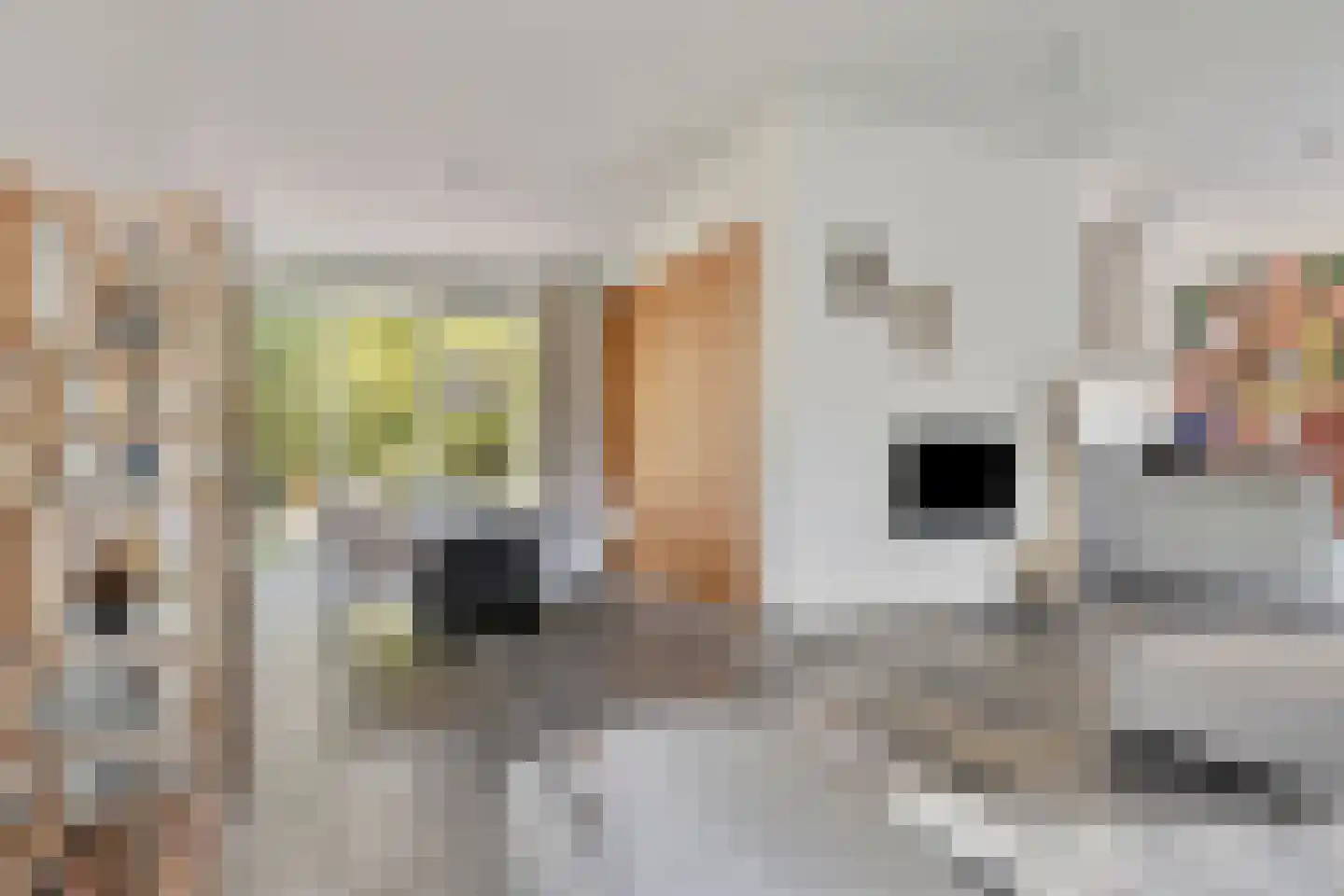 Noordelijke Achterweg 38 Wemeldinge thumbnail 11