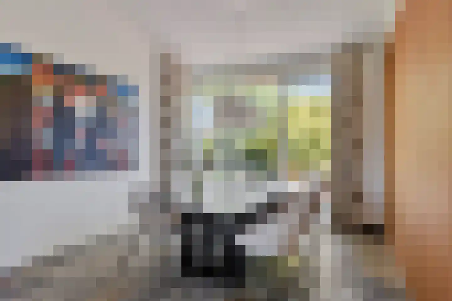 Noordelijke Achterweg 38 Wemeldinge thumbnail 12
