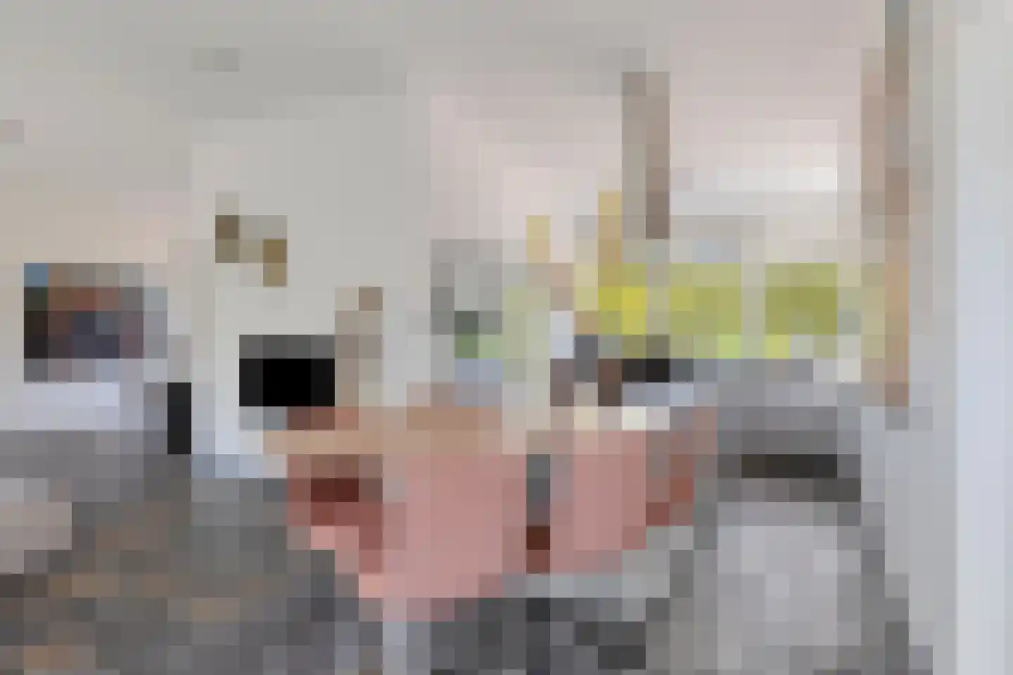 Noordelijke Achterweg 38 Wemeldinge thumbnail 14