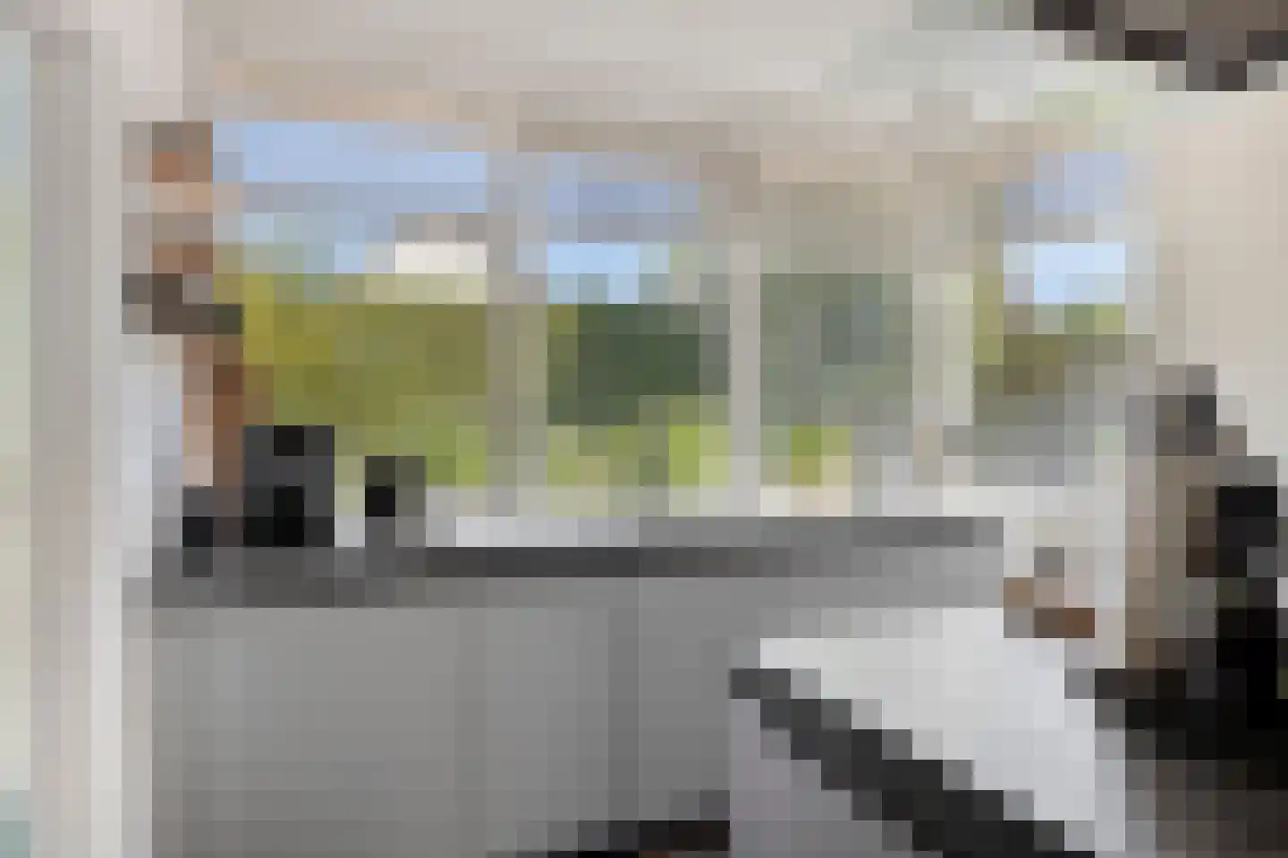 Noordelijke Achterweg 38 Wemeldinge thumbnail 16