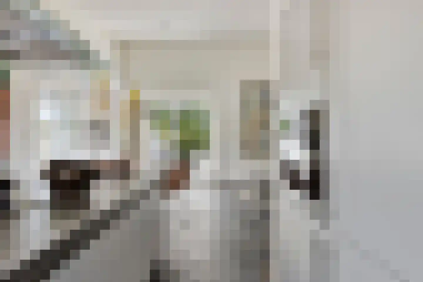 Noordelijke Achterweg 38 Wemeldinge thumbnail 17