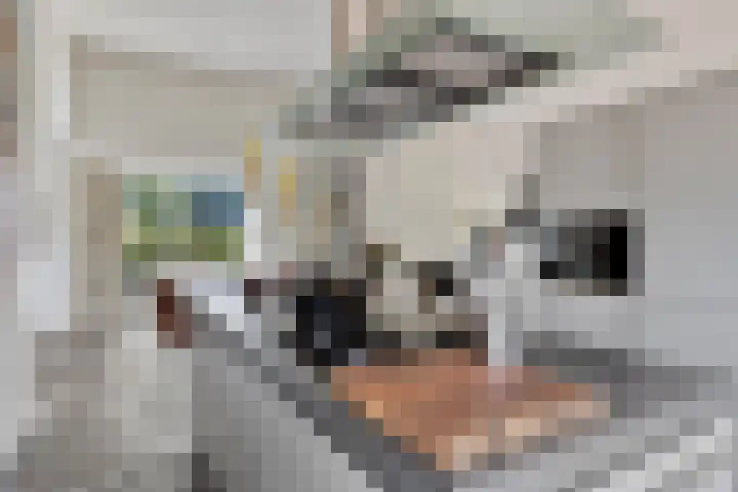 Noordelijke Achterweg 38 Wemeldinge thumbnail 18