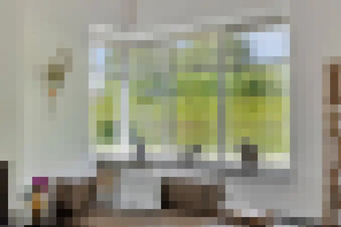 Noordelijke Achterweg 38 Wemeldinge thumbnail 19