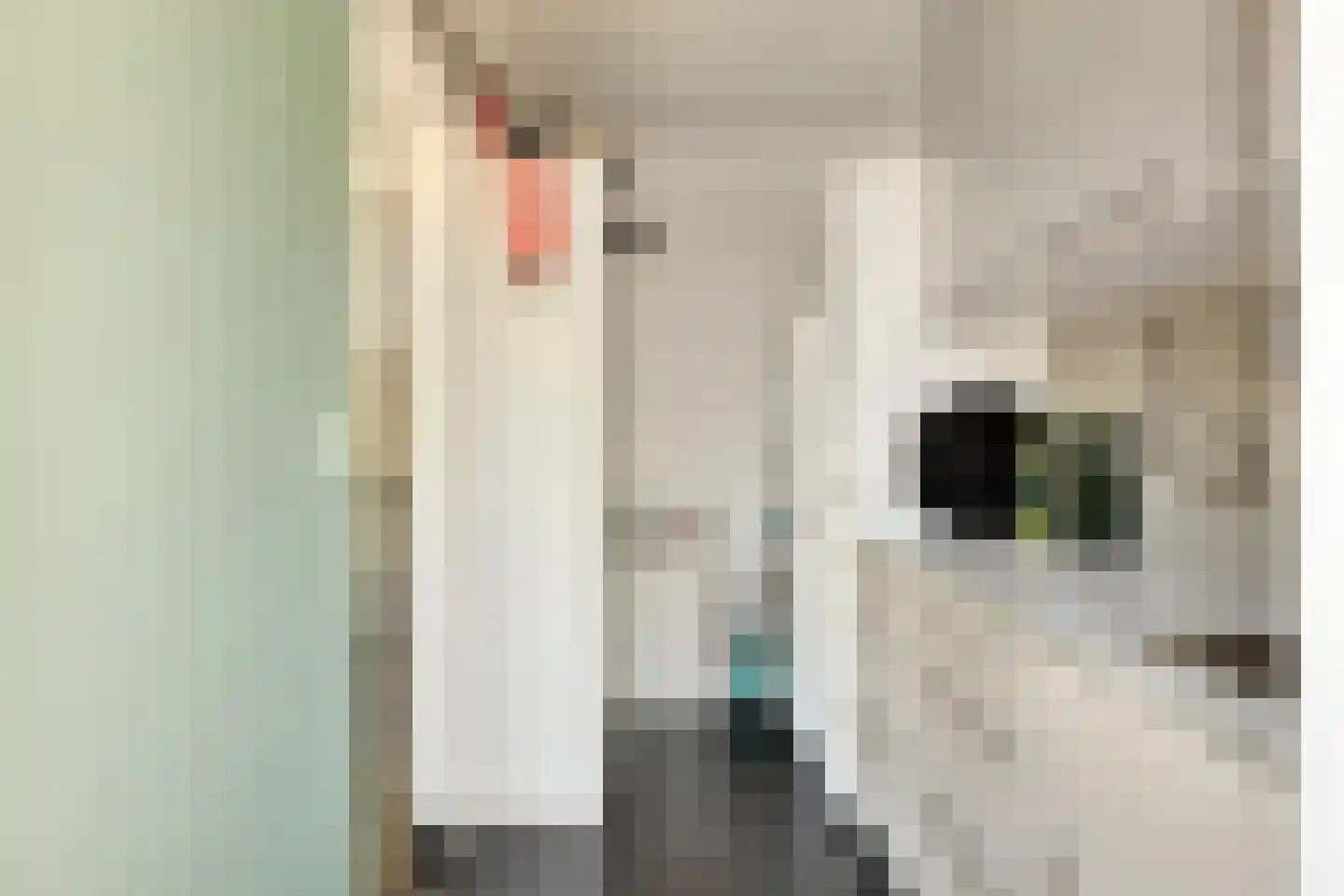 Noordelijke Achterweg 38 Wemeldinge thumbnail 21