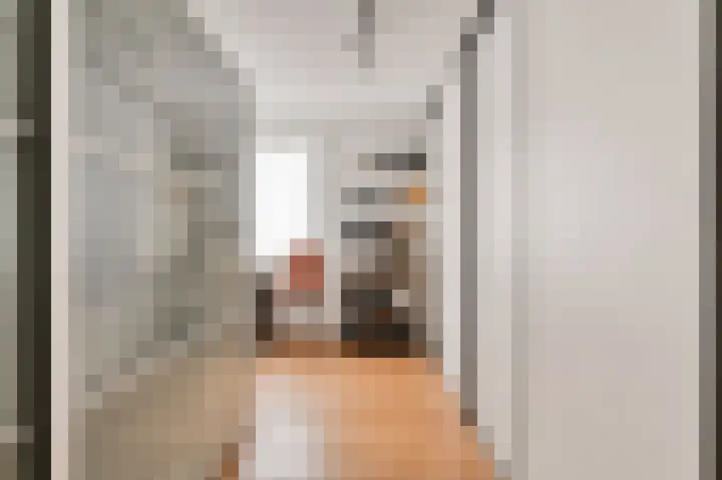 Noordelijke Achterweg 38 Wemeldinge thumbnail 24