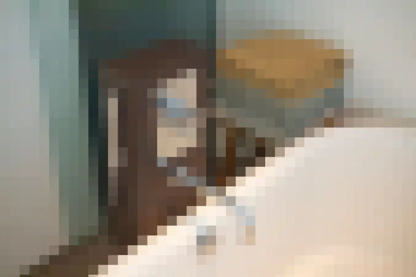 Noordelijke Achterweg 38 Wemeldinge thumbnail 27