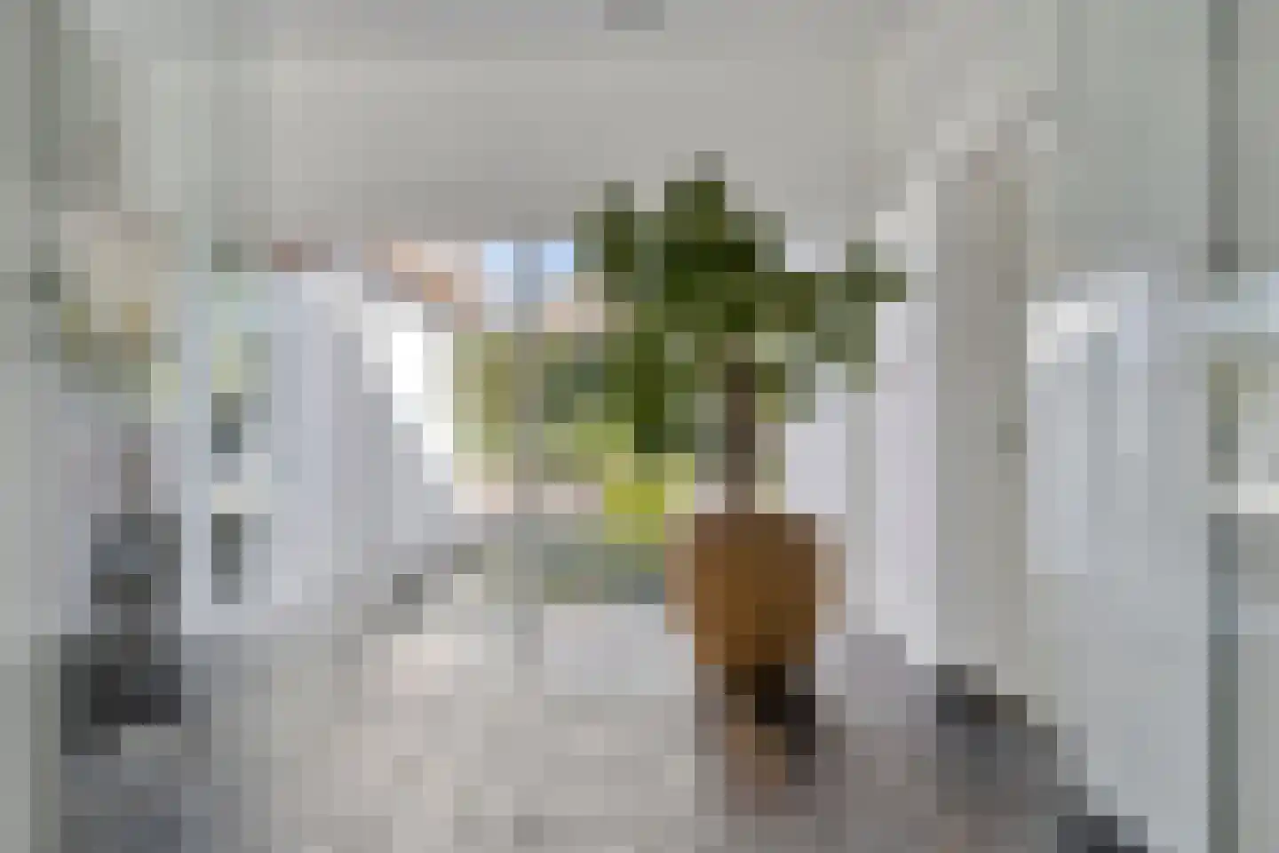 Noordelijke Achterweg 38 Wemeldinge thumbnail 28
