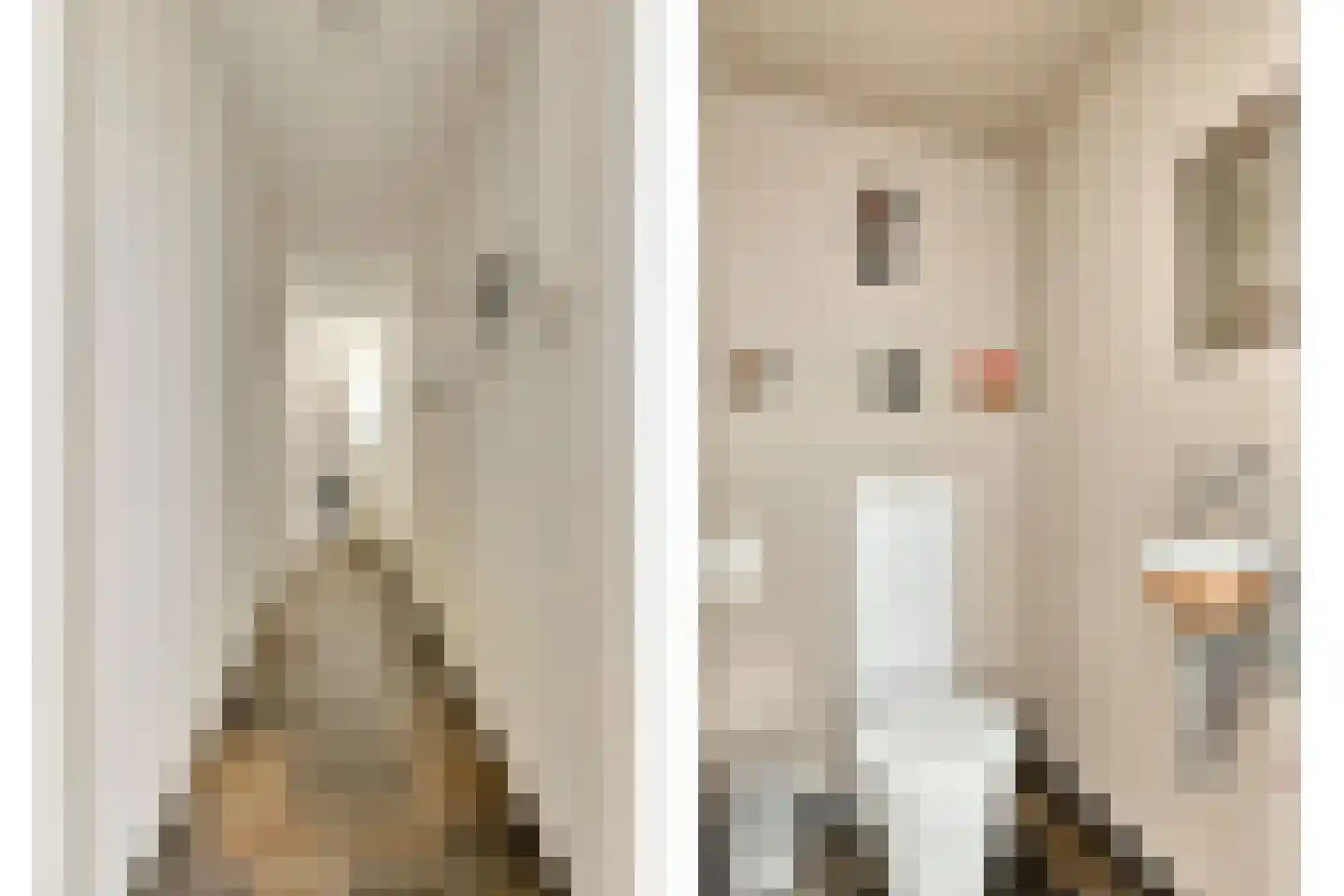Noordelijke Achterweg 38 Wemeldinge thumbnail 30
