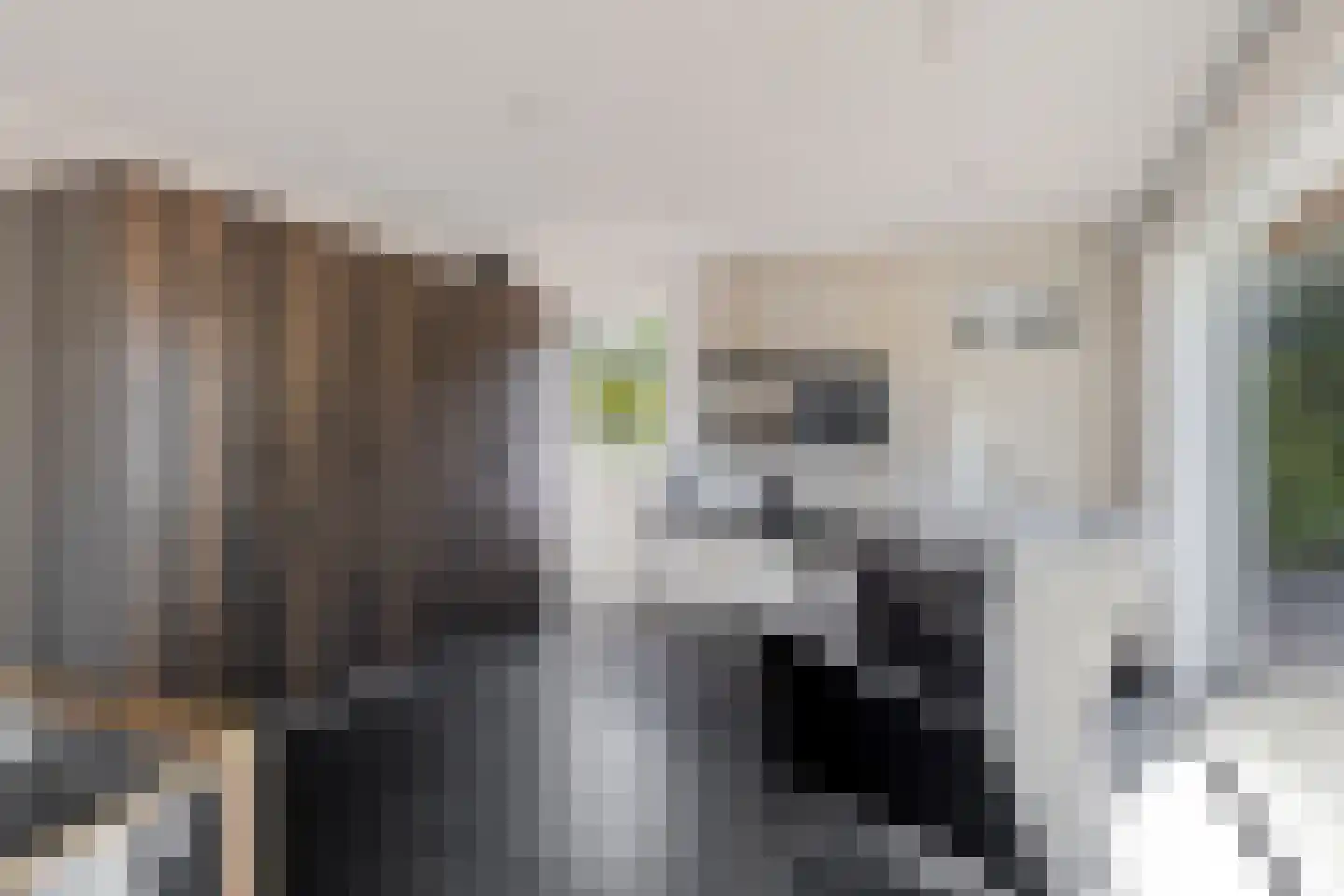 Noordelijke Achterweg 38 Wemeldinge thumbnail 31