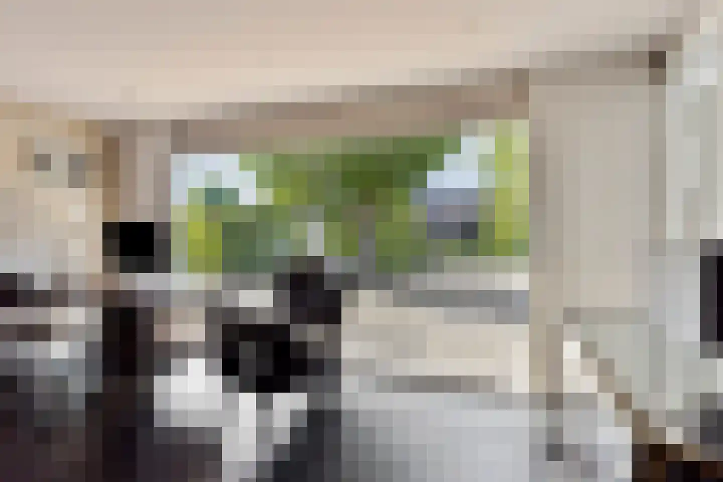 Noordelijke Achterweg 38 Wemeldinge thumbnail 32