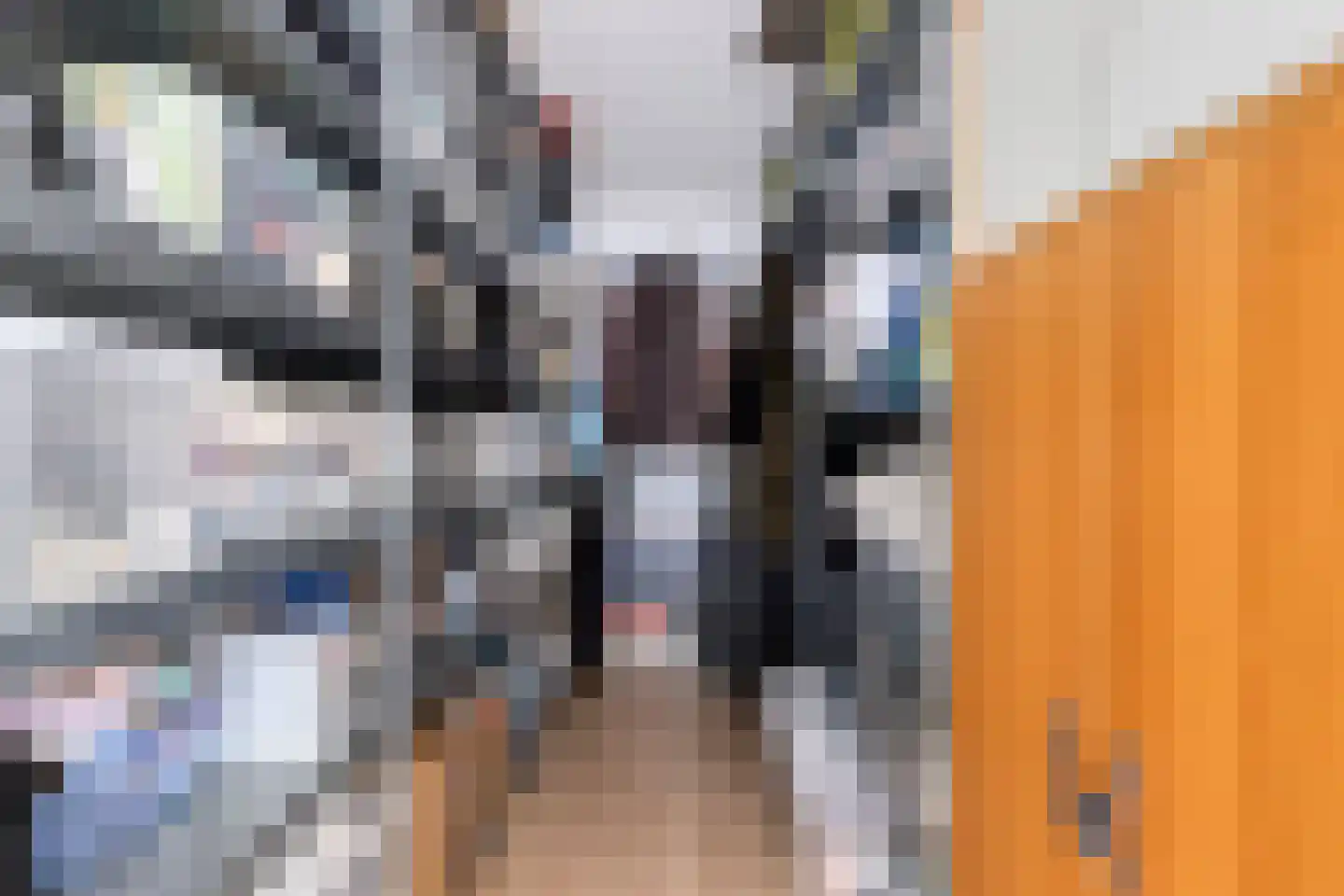 Noordelijke Achterweg 38 Wemeldinge thumbnail 33
