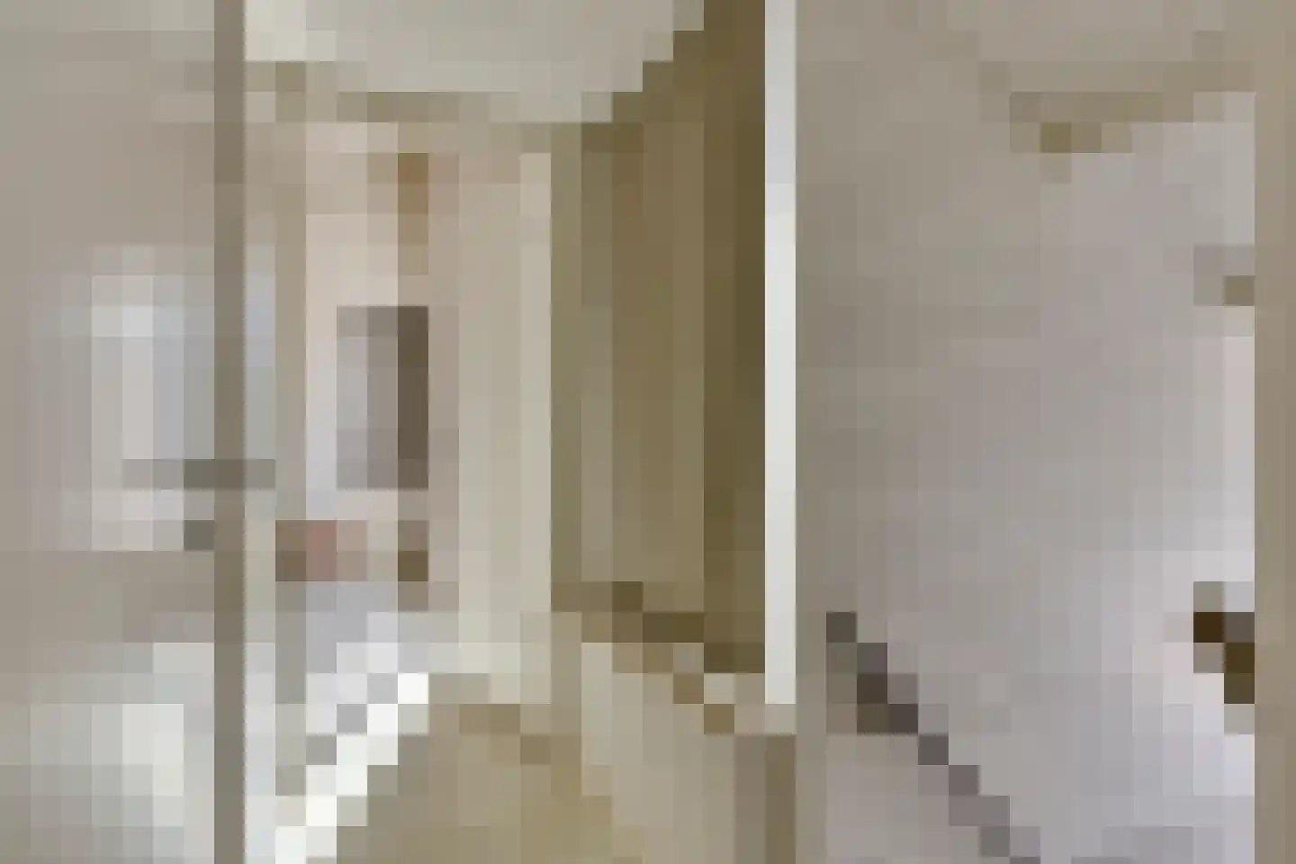 Noordelijke Achterweg 38 Wemeldinge thumbnail 36