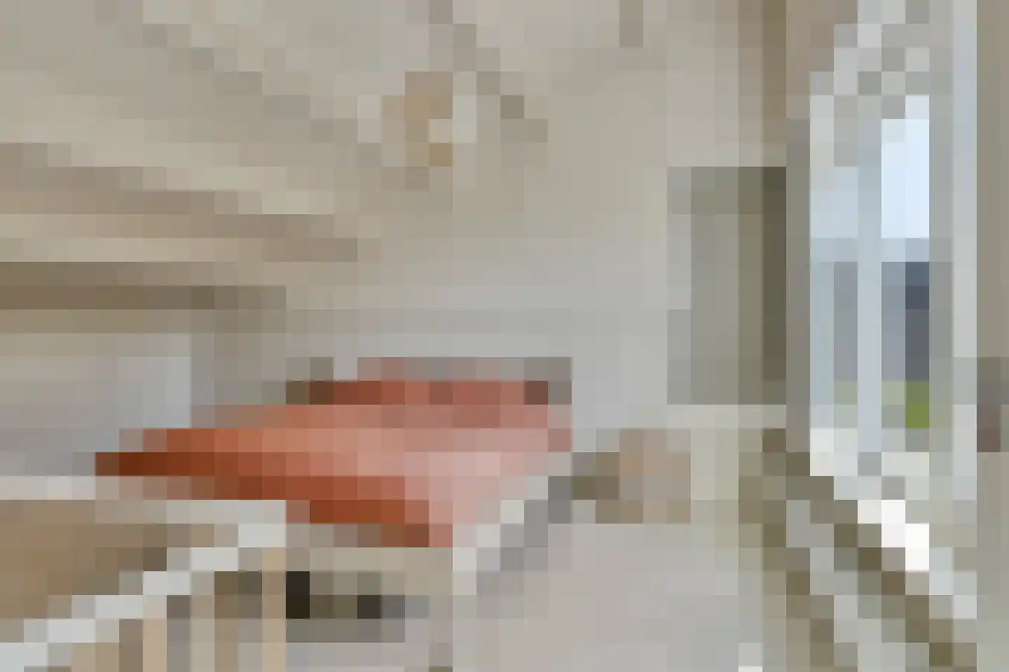 Noordelijke Achterweg 38 Wemeldinge thumbnail 37
