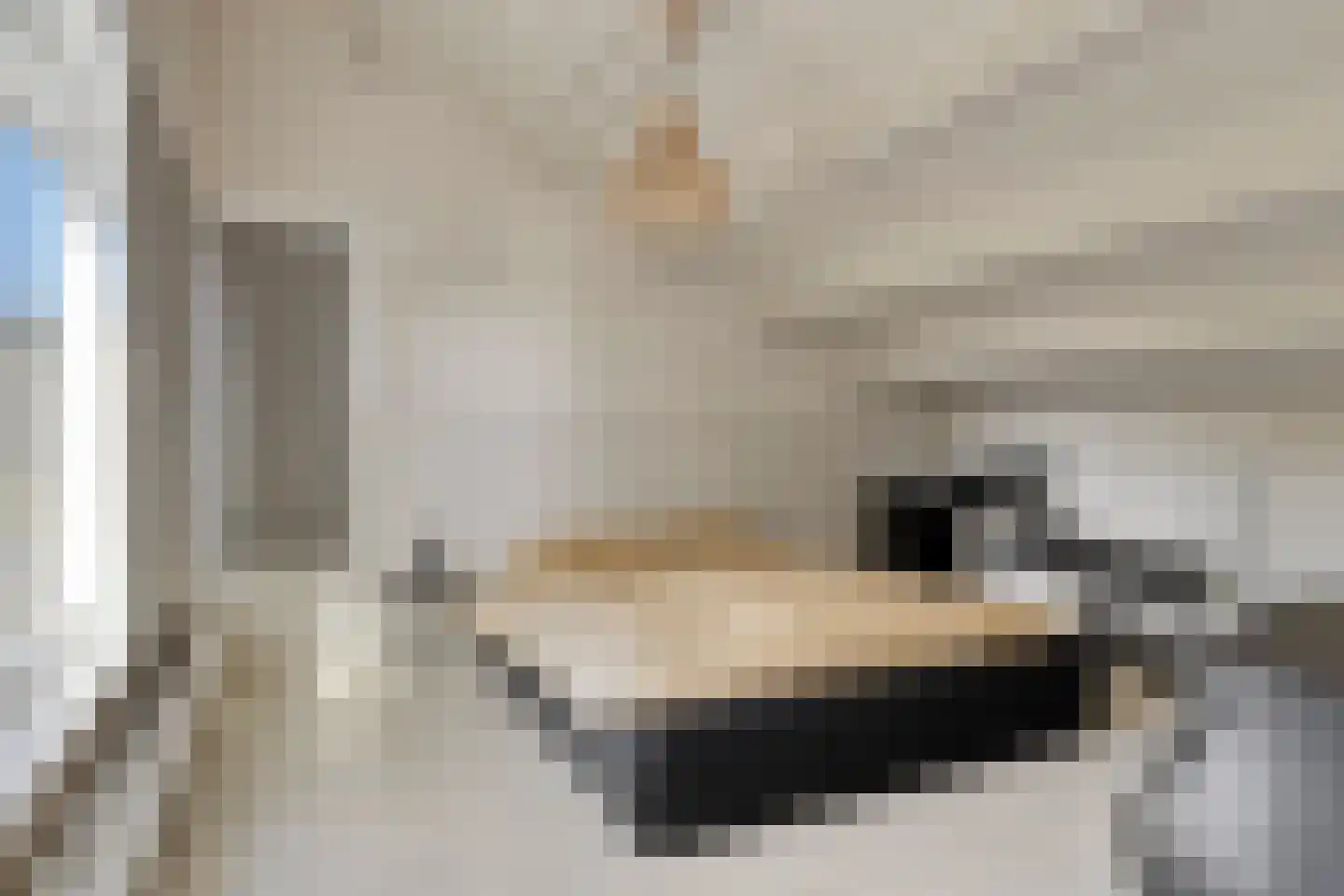 Noordelijke Achterweg 38 Wemeldinge thumbnail 38
