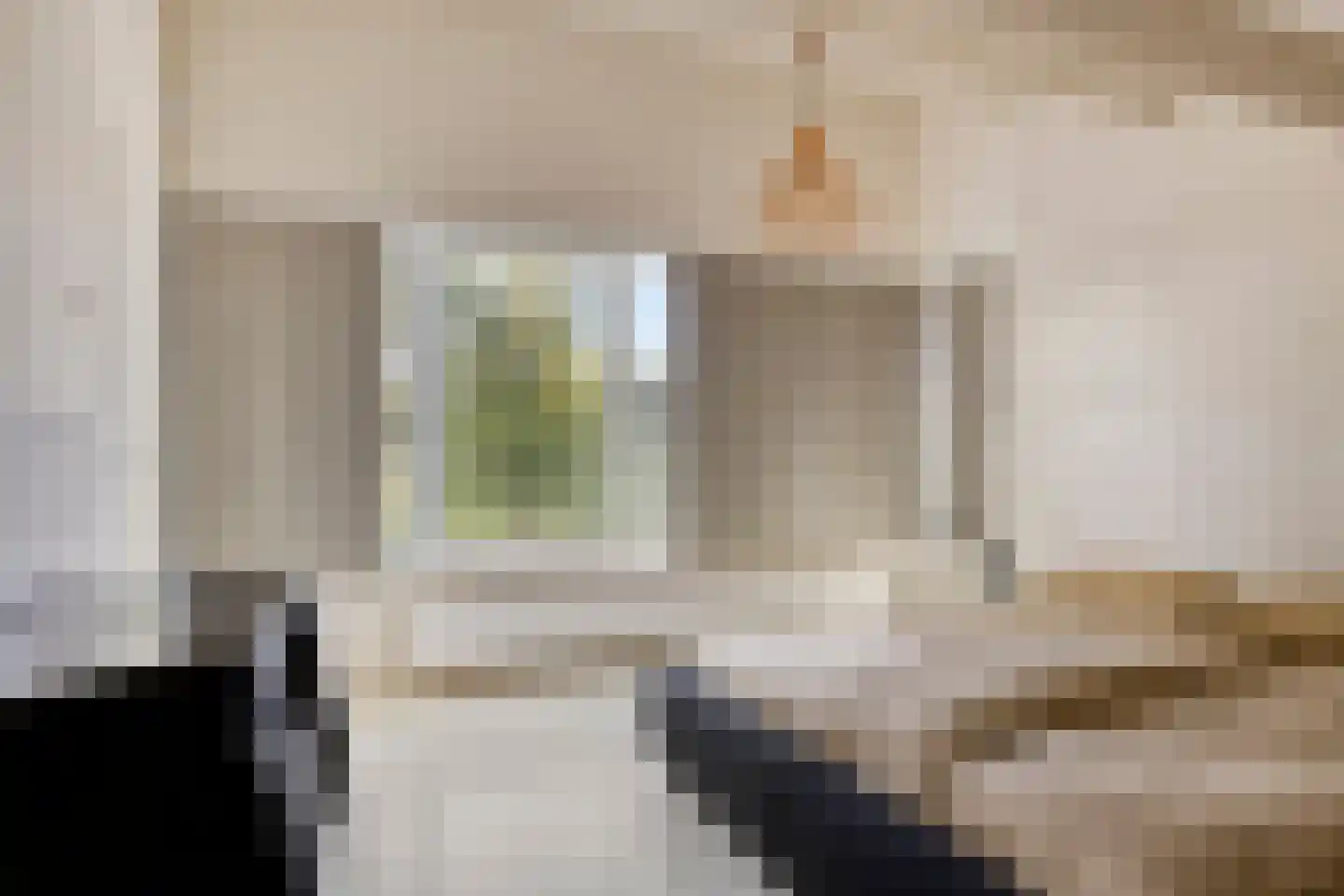 Noordelijke Achterweg 38 Wemeldinge thumbnail 39