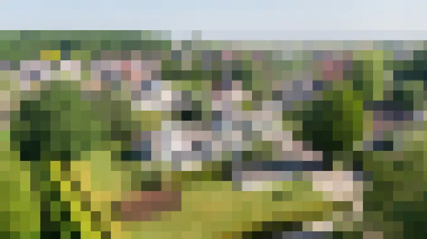 Noordelijke Achterweg 38 Wemeldinge thumbnail 4